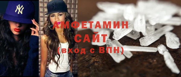 гидра Бронницы
