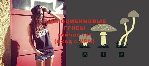 гидра Бронницы