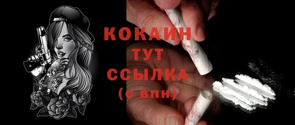 кокс Бородино