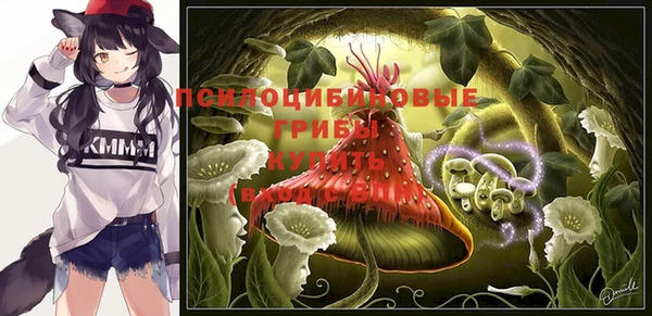 кокс Бородино