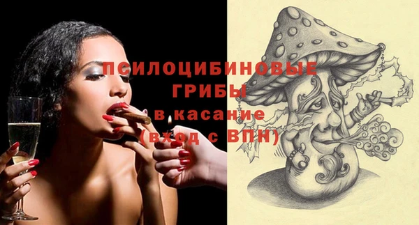 гидра Бронницы