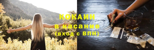 кокс Бородино