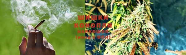 кокс Бородино