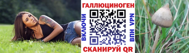 Галлюциногенные грибы Cubensis  Купить закладки  Моршанск 